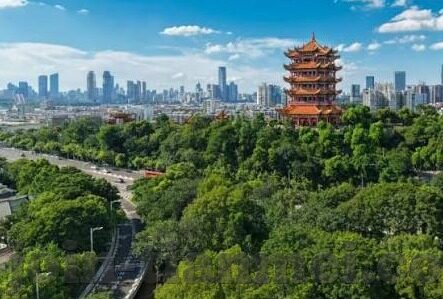 糖心app房贷计算器-探索糖心APP房贷计算器，简化房贷了解，实现精准财务规划